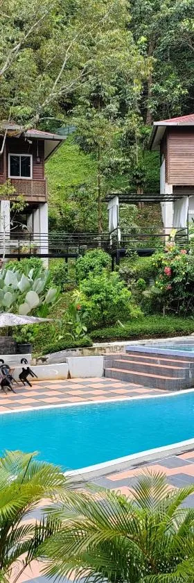 D'Bukit Forest，位于Pedas的酒店
