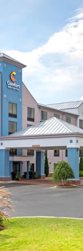 Comfort Inn & Suites Carrollton，位于卡罗尔顿的酒店