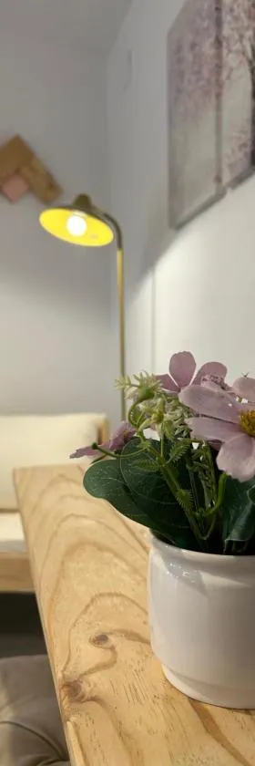 Apartamentos El Búho，位于贝尔蒙特的酒店