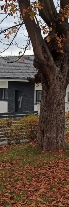 Apartmány Volavka 1，位于Planá nad Lužnicí的酒店