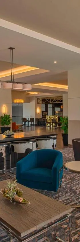 喜来登乔治敦会议中心酒店 ，位于乔治城的酒店