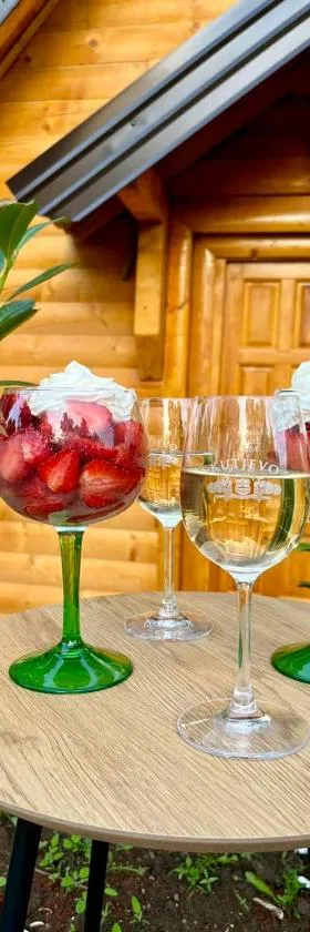 Vila Šibovi，位于巴尼亚卢卡的酒店