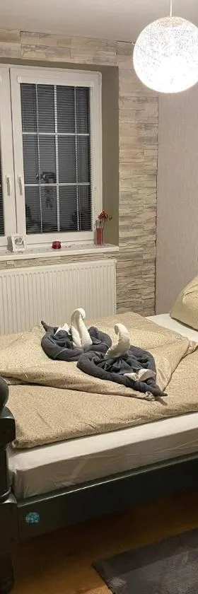 Apartmán Gaidi，位于兹林的酒店