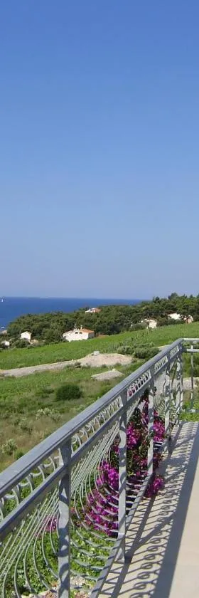 Apartment Lenka，位于萨瓦拉的酒店