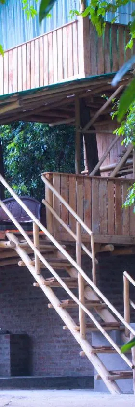 Forest Tree Top Holiday Resort，位于Buttala的酒店