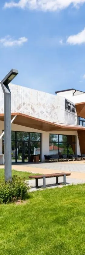 Hotel Dijana，位于皮罗特的酒店