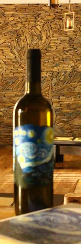 Hotel Starry Night，位于卡兹贝吉的酒店