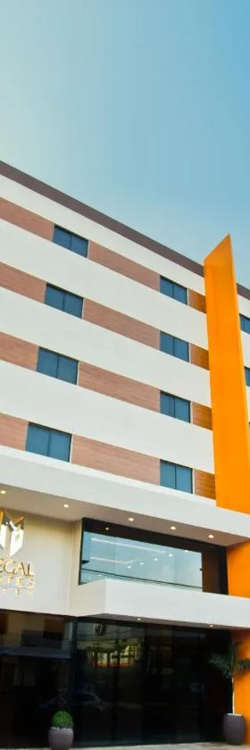 Megal Suites Hotel，位于埃斯特城的酒店
