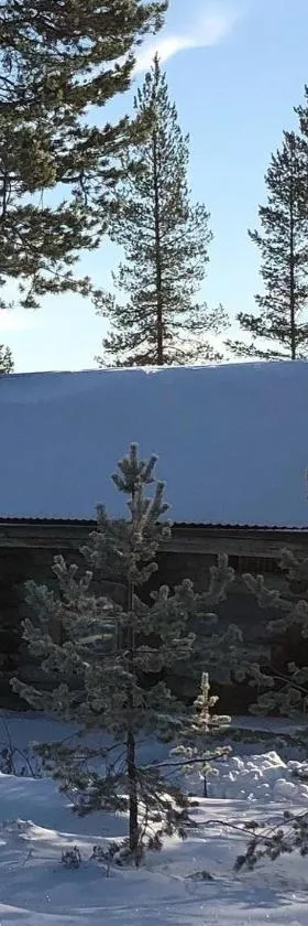 Villa Kuiske，位于库萨莫的酒店