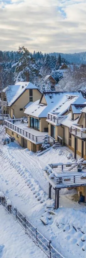 Villa Collis - Bieszczady，位于Olchowiec的酒店
