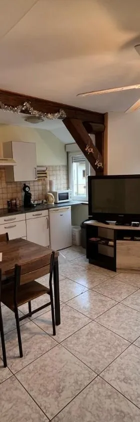 Appartement à Mitzach，位于Mitzach的酒店