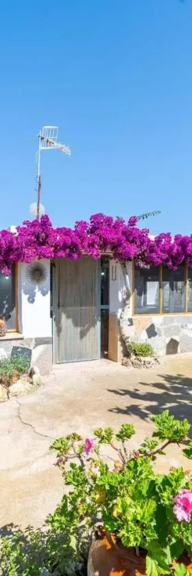 La caseta dels iaios，位于Masdenverge的酒店