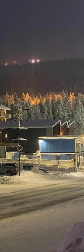 Levi Diamonds Luxury Ski-in&Out &Private Jacuzzi，位于锡尔卡的酒店
