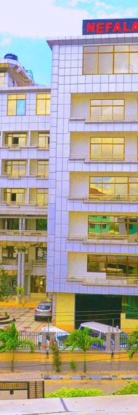 Nefaland Hotel，位于达累斯萨拉姆的酒店