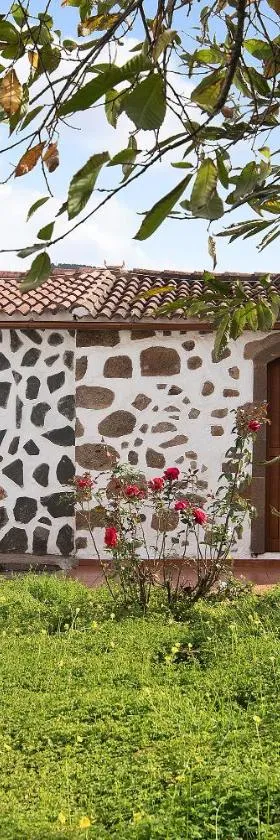 La Casita de Abuela Paula，位于Valleseco的酒店