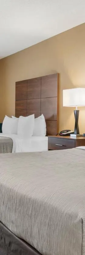 Quality Inn & Suites，位于马尼斯蒂克的酒店