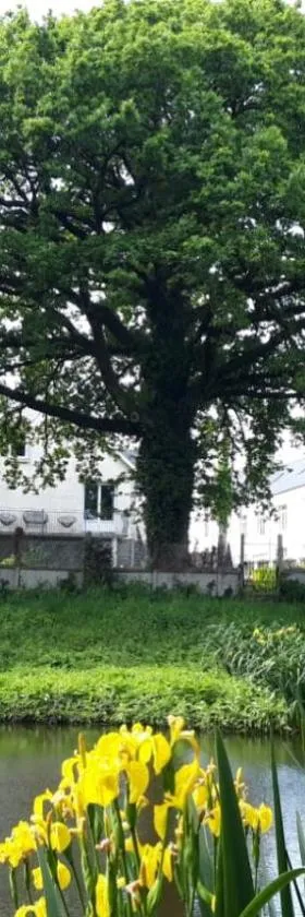 La maison de l'étang，位于Ploërdut的酒店