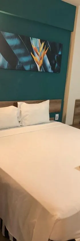 Solar das Aguas Resort - Olímpia，位于奥林匹亚的酒店