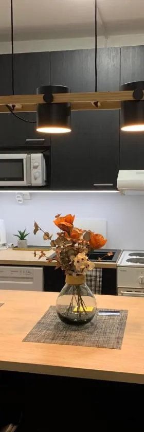 StarHomes 2 BR City Apartment C18，位于凯米的酒店