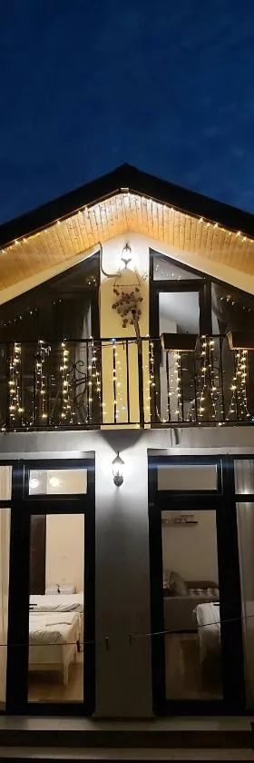 尼特萨旅馆，位于哥里的酒店