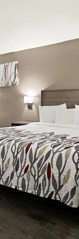 Red Roof Inn & Suites Monroe, NC，位于门罗的酒店