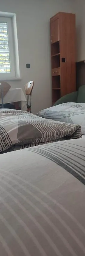 Apartmán Radim，位于弗拉季莫夫的酒店