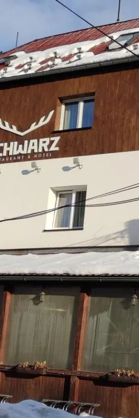 Hotel Schwarz，位于Nové Hamry的酒店