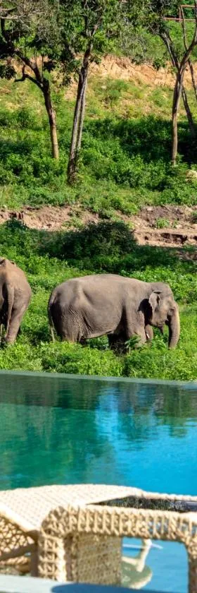 Wild Cottages Elephant Sanctuary Resort，位于苏梅岛的酒店