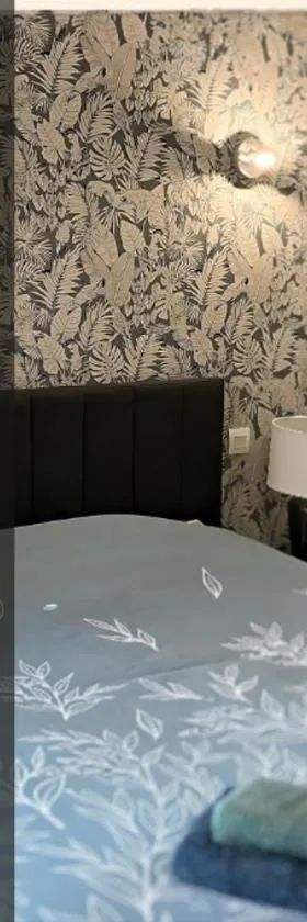 *Rivage* Spacieux T2 RDC sur cour:Jardin-Fibre-Netflix-Terrasse，位于Pont-de-Metz的酒店