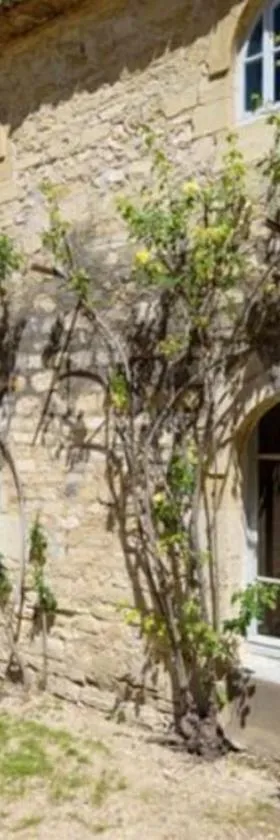 Château de Teillan - Pigeonnier，位于艾马尔格的酒店