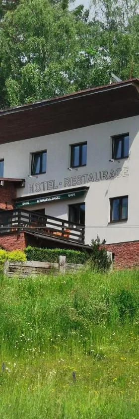 Hotel Styl Hlinsko，位于赫林斯科的酒店