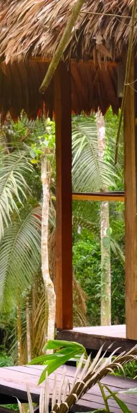 CHUNAKI ECOLODGES - Authentic Activities and Food in the Amazon，位于Zaragoza的酒店
