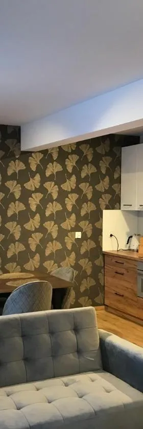 Apartament Brązowy 12/1，位于格但斯克旧城的酒店