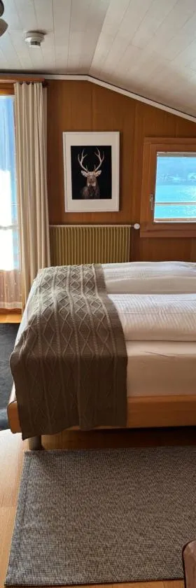 Alpina Boutique Hotel Interlaken - Ringgenberg - Adults only !，位于林根贝格的酒店