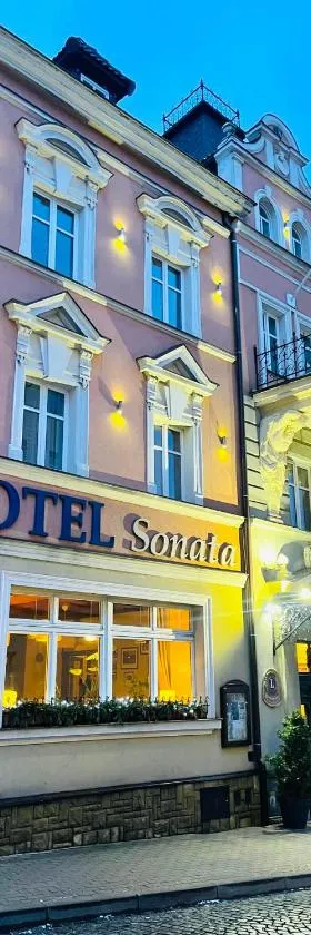 Hotel SONATA，位于杜什尼基-兹德鲁伊的酒店