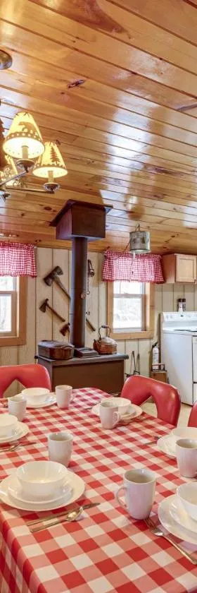 Pet-Friendly Irons Cottage with Fire Pit and Fireplace，位于Irons的酒店