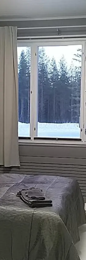 GuestHouse Ikimetsä，位于库萨莫的酒店