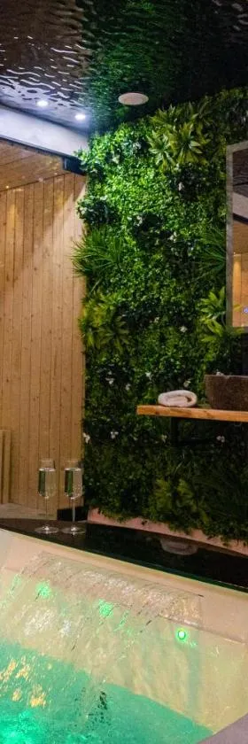 Le Nature - Sauna - Balnéo - Sparoom Sarreguemines，位于萨尔格米纳的酒店