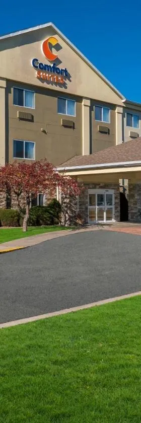 Comfort Suites- Saginaw，位于萨吉诺的酒店
