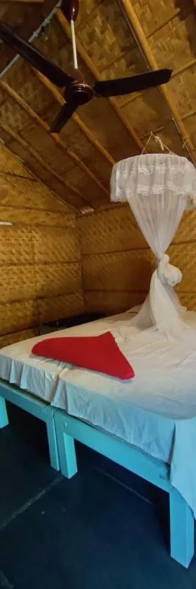 Hampi nature Cottage，位于亨比的酒店