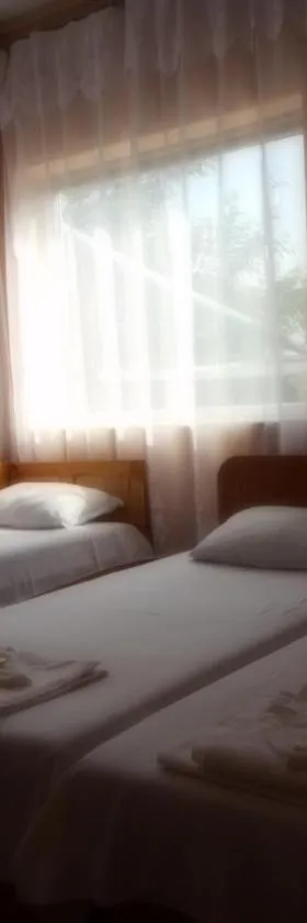 Guest House Borisov，位于沙布拉的酒店