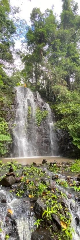 Nimbin waterfall retreat，位于宁宾的酒店