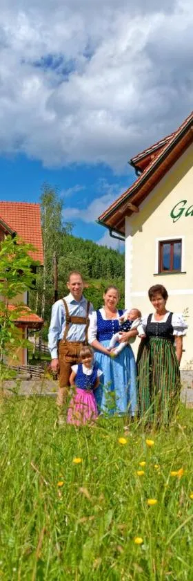 霍夫鲍尔宾馆，位于Breitenau am Hochlantsch的酒店