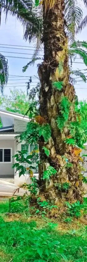 The Engineer's Villas, Krabi，位于Ban Khlong Chi Lat的酒店