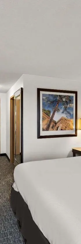 Quality Inn & Suites，位于Caribou的酒店