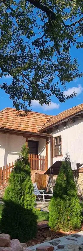 Vila Antić，位于皮罗特的酒店