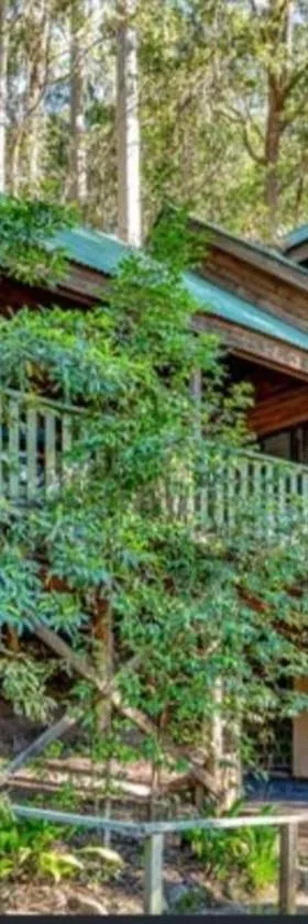 Cedar Lodge - Barrington Tops Salisbury，位于Chichester的酒店