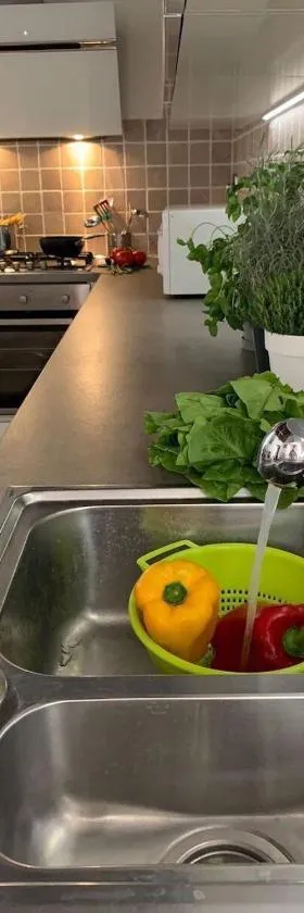The 4 Senses Experience，位于苏韦雷托的酒店