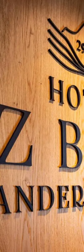 Hotel Piz Badus，位于安德马特的酒店