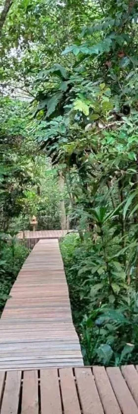Rainbow Lodge，位于戈公的酒店